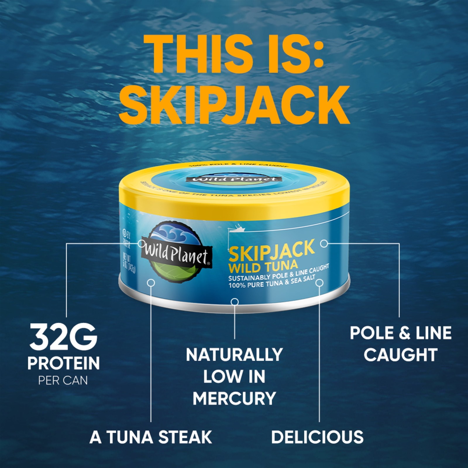Skipjack Wild Tuna with Sea Salt in a 5 oz Can 4-Pack