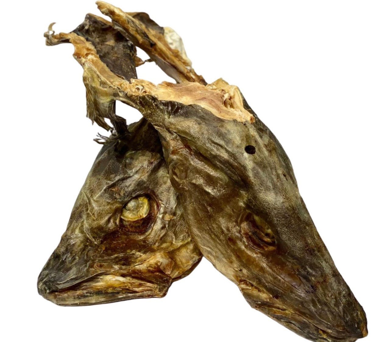 Stockfish Head