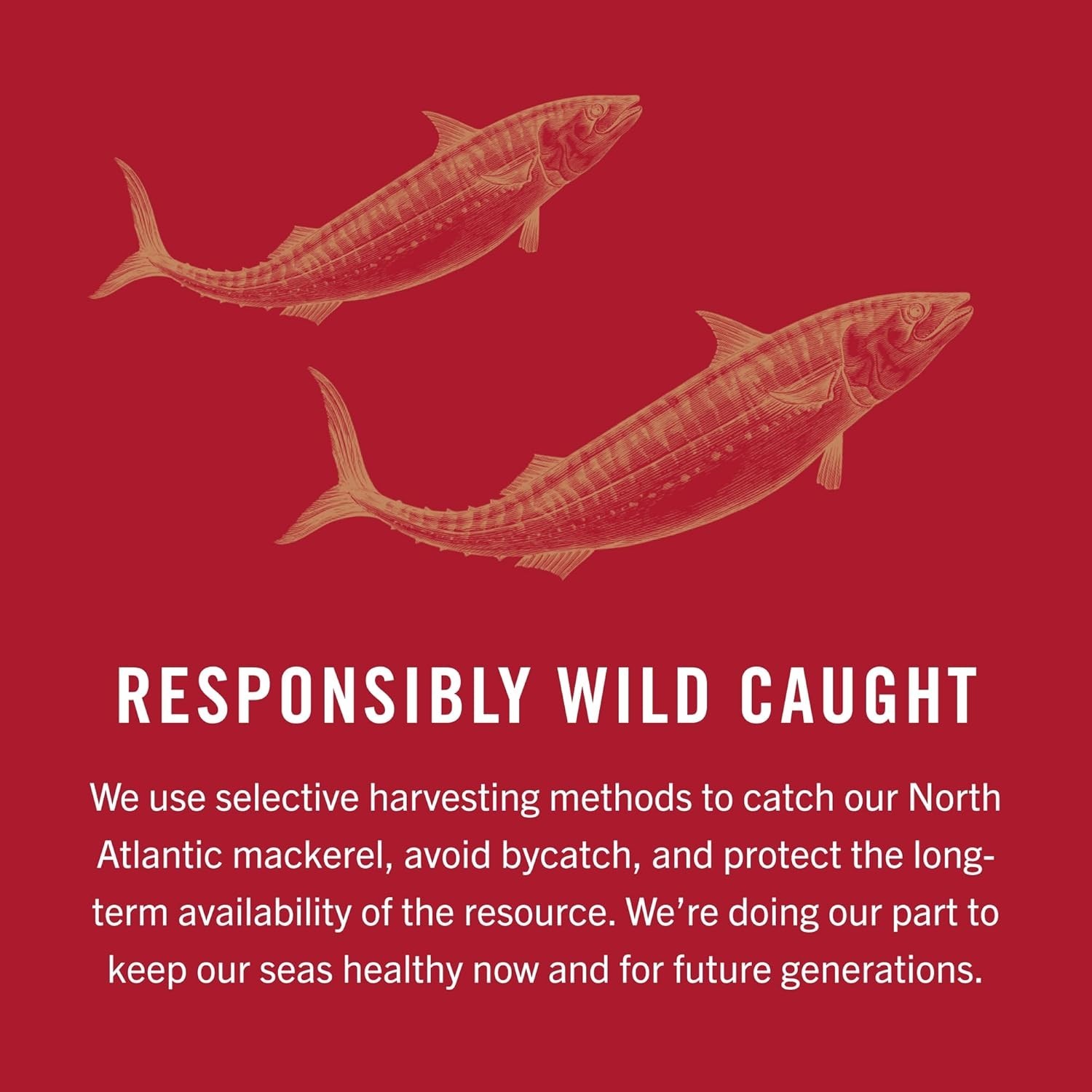 King Oscar Mackerel in Olive Oil 4.05 oz Can 12-Pack Skinless Boneless Wild