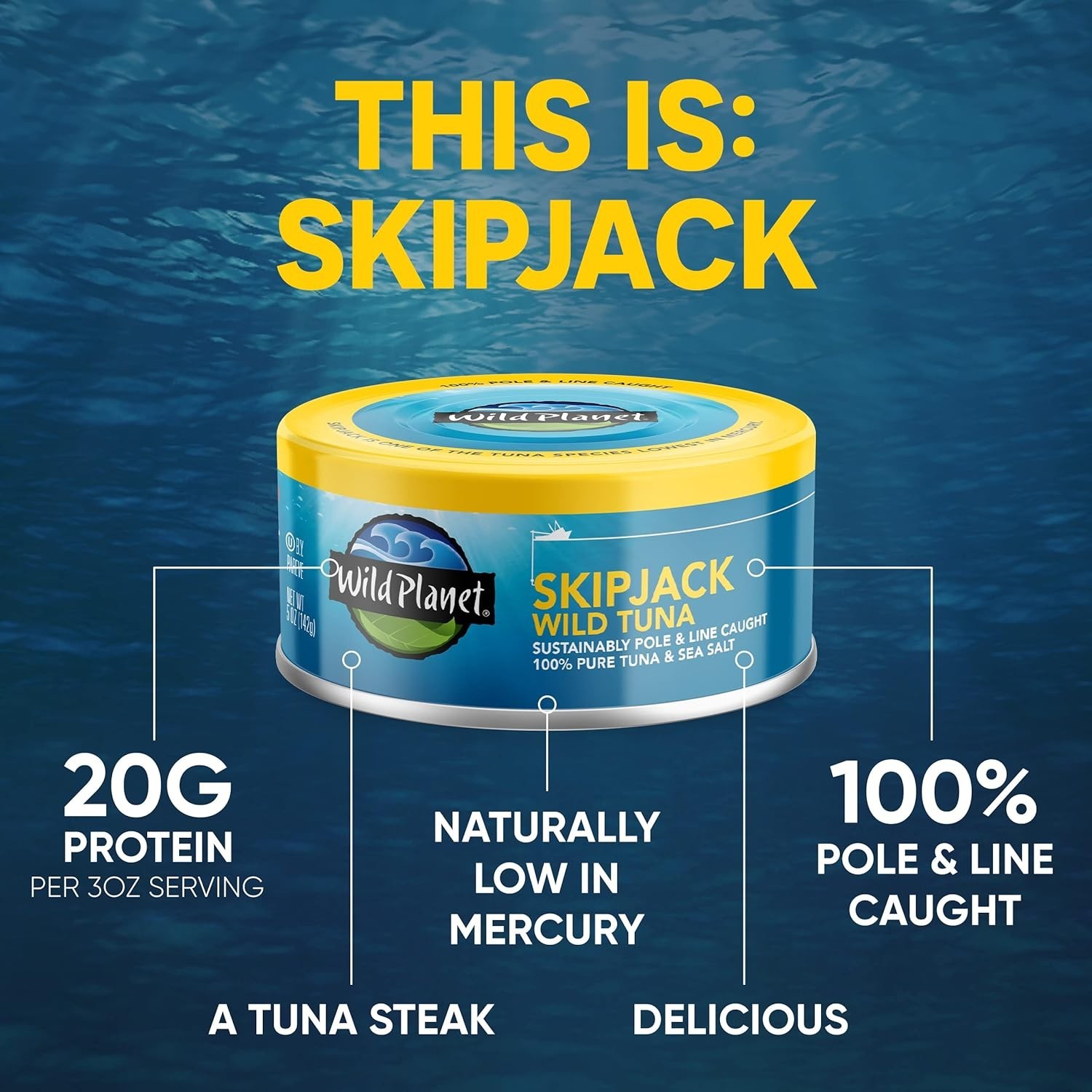 Skipjack Wild Tuna, Sea Salt, Canned Tuna, Pole & Line Sustainably Wild-Caugh…