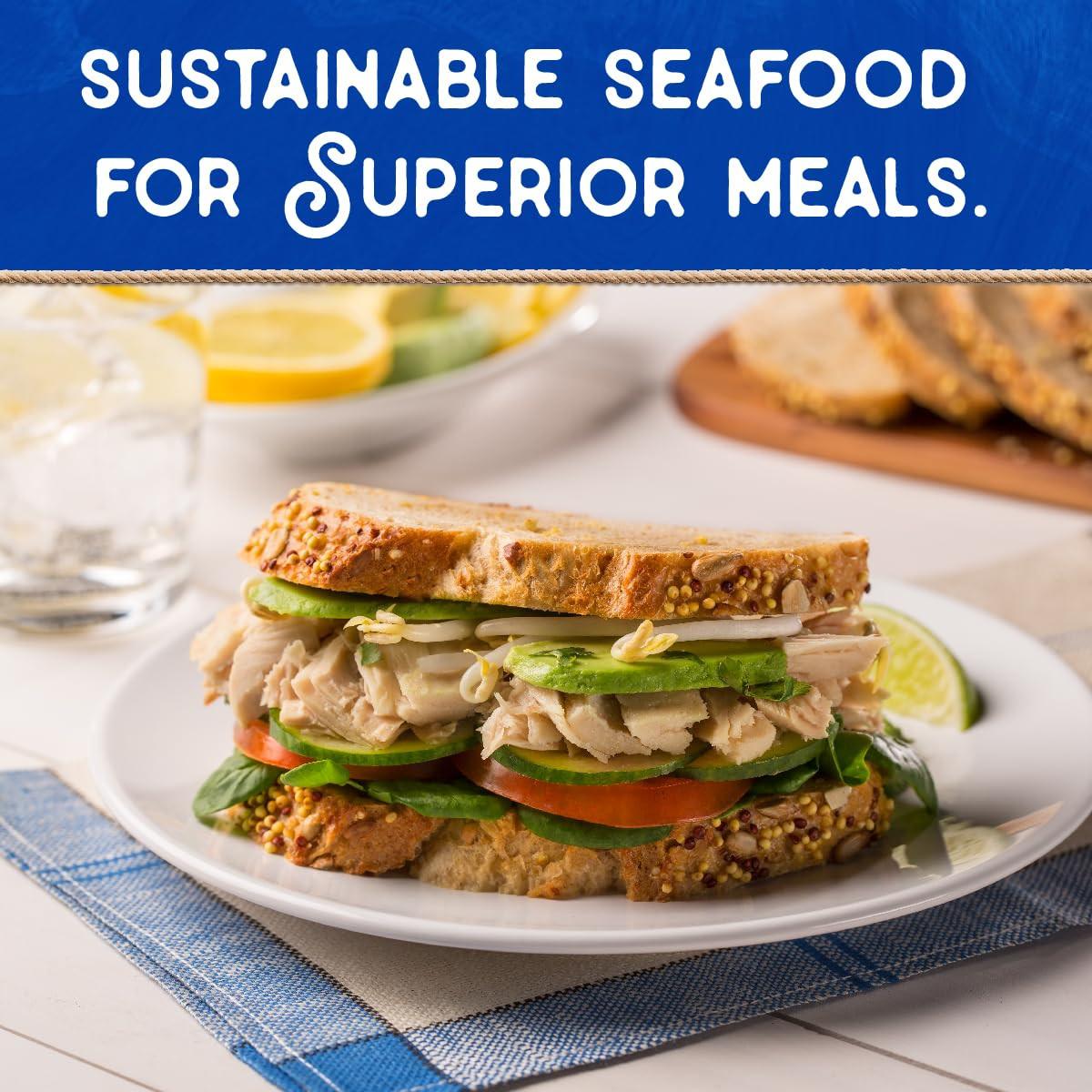 Wild Albacore Solid White Tuna in Water with Sea Salt – 4.6 Oz Can (Pack of 12)
