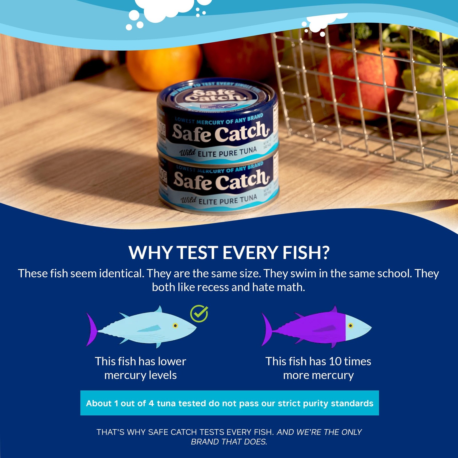 Safe Catch Canned Wild Tuna Fish, Caught, Lowest 5 Ounce (Pack of 6)