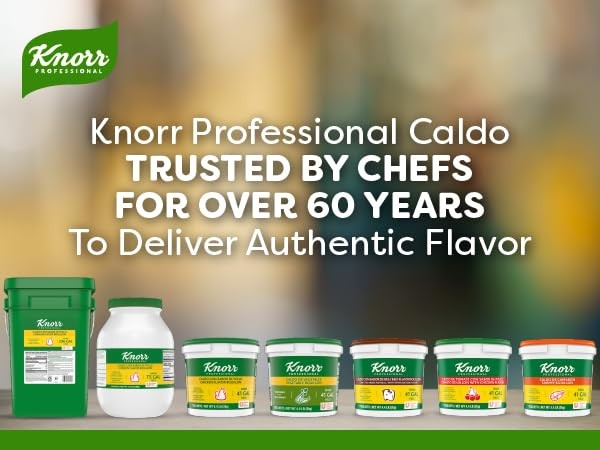 Knorr Professional Caldo de Res, Beef Bouillon with Beef Flavor Granulated Ba…