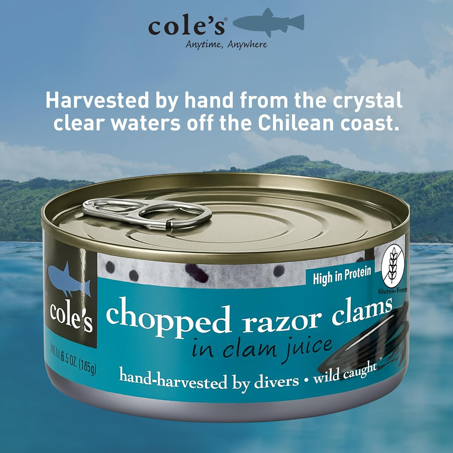 COLES CANNED and CHOPPED CLAMS – Harvested in Crystal Clear Water, Gluten Free F