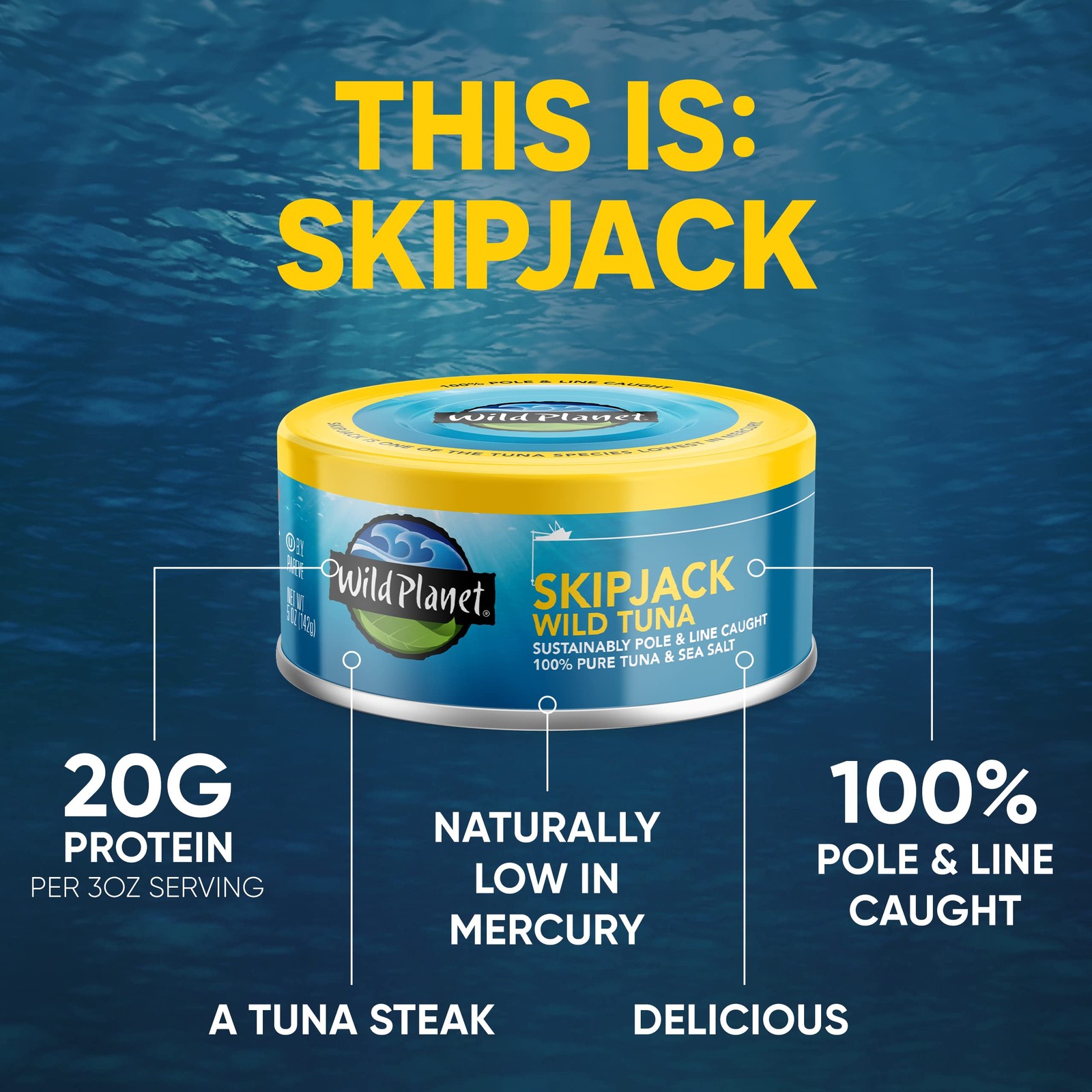 Wild Planet Skipjack Wild Tuna, Sea Salt, Pole & Line Sustainably Caught, Non-GM