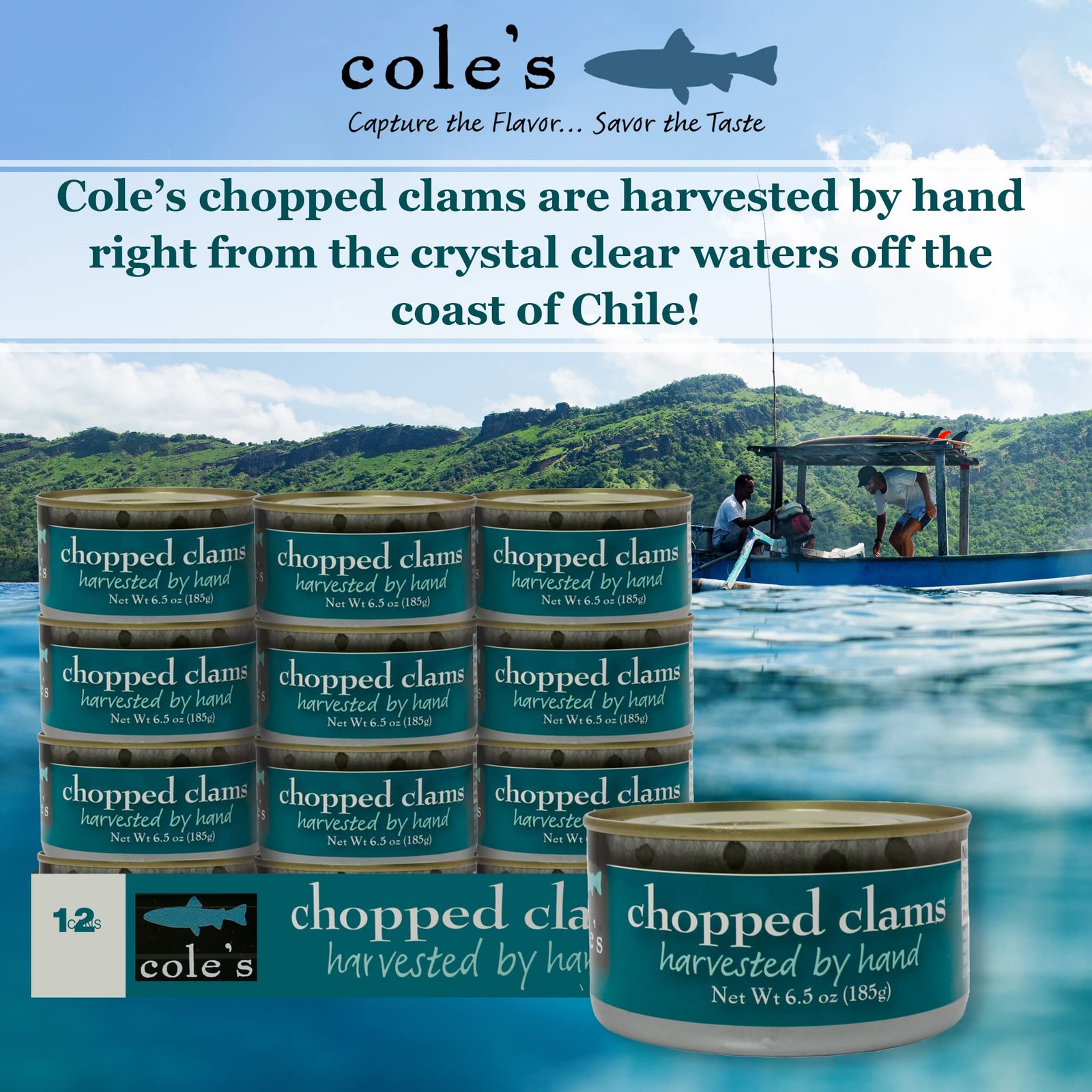 COLES CANNED AND CHOPPED CLAMS – Harvested in Crystal Clear Water, Gluten Fre…