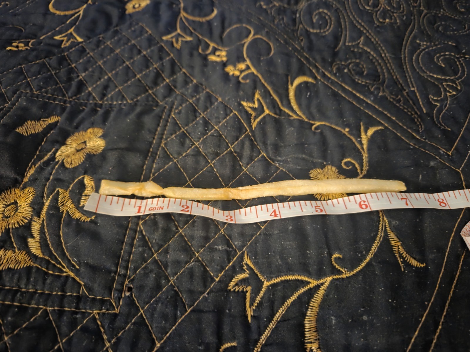 Long French Fry