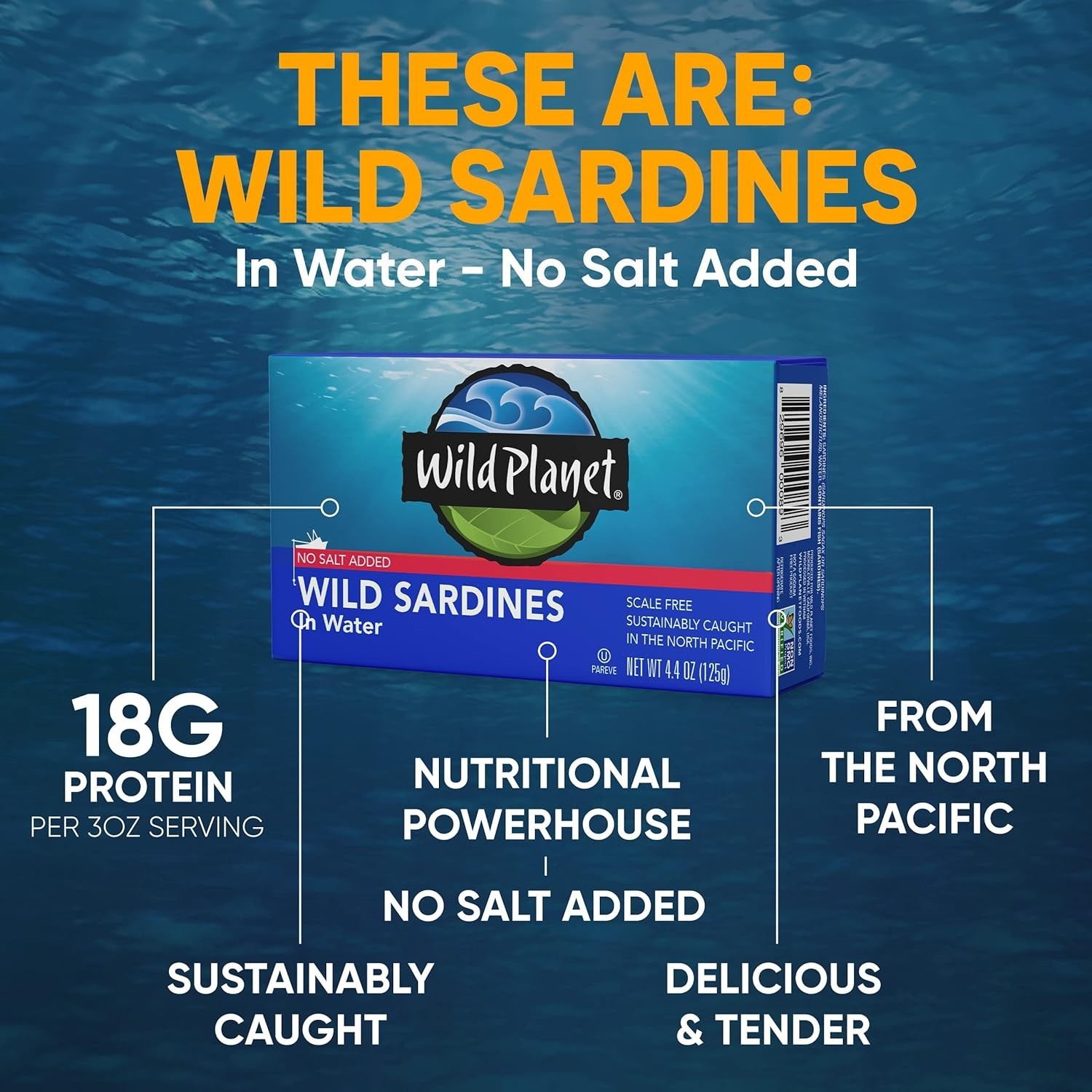 Sustainable Wild Sardines in Water – Meaty, Tender, No Salt Added, 4.4 oz x 12