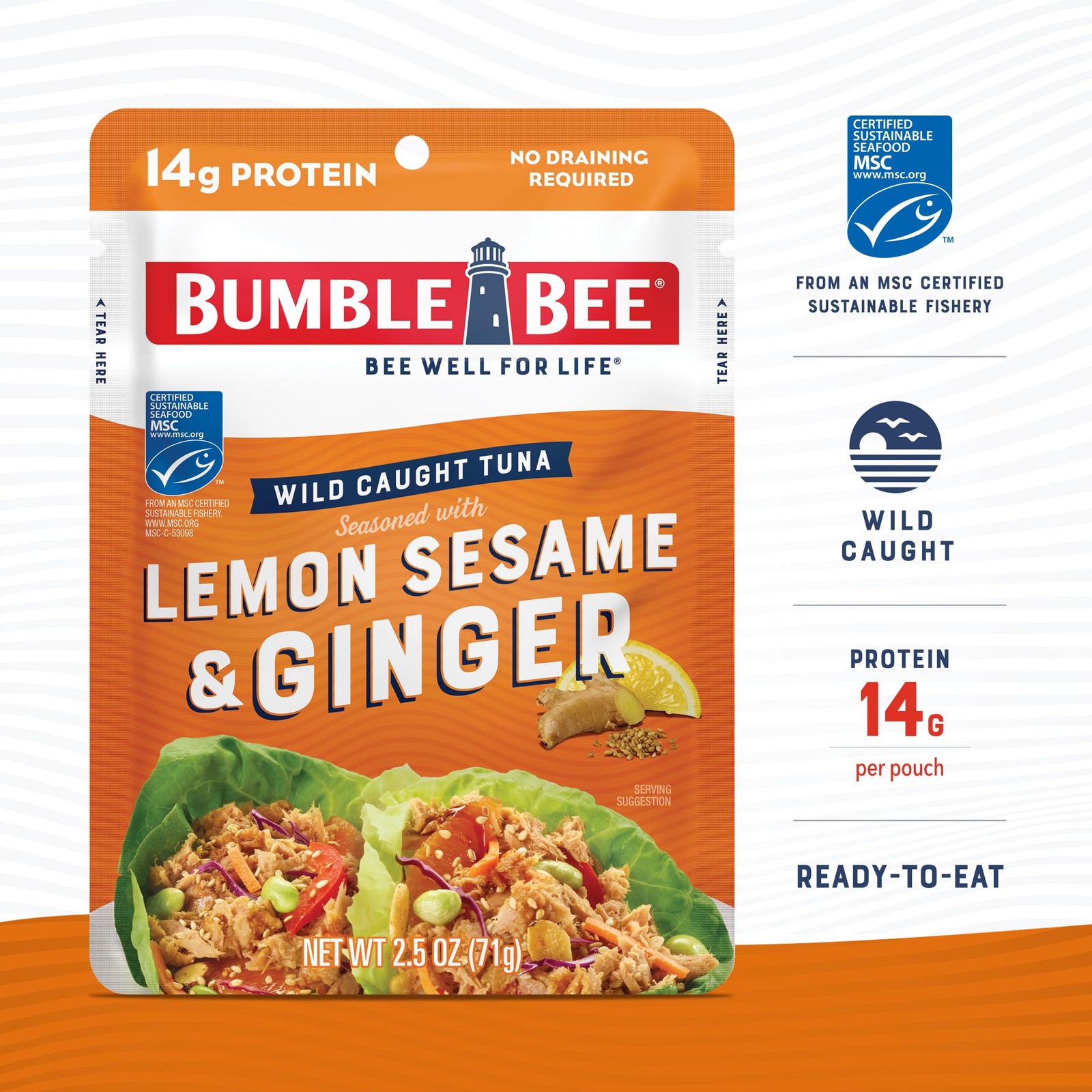 Lemon Sesame Ginger Tuna Pouch – Wild Caught, 14g Protein, Ready to Eat, Pack