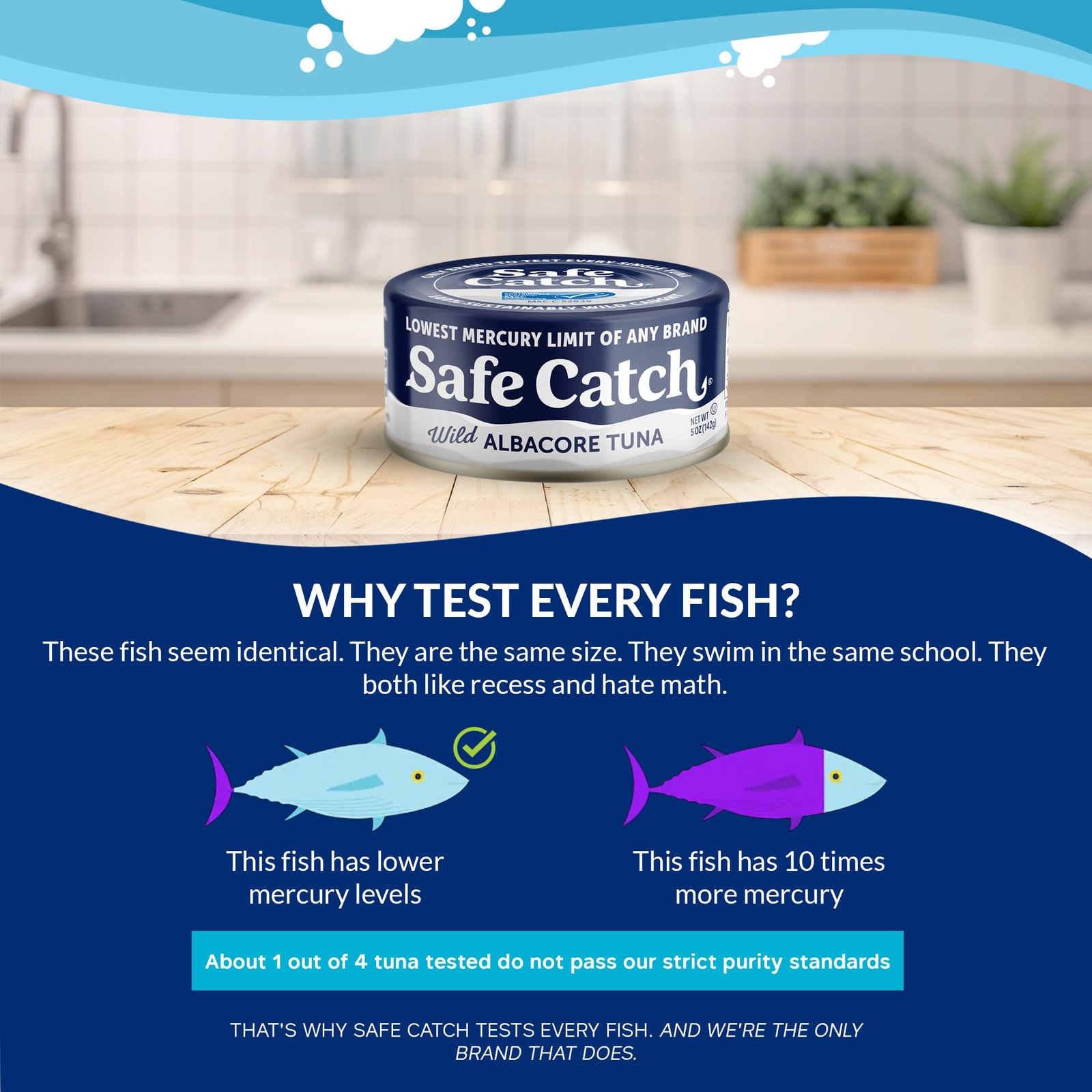 Safe Catch Wild Albacore Tuna Canned Low Mercury Can Tuna Fish Steak Gluten-F…