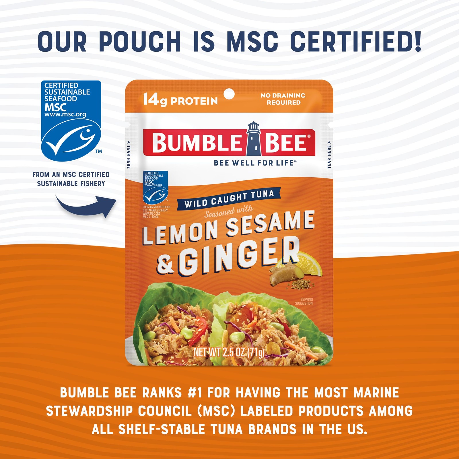 Lemon Sesame Ginger Tuna Pouch – Wild Caught, 14g Protein, Ready to Eat, Pack