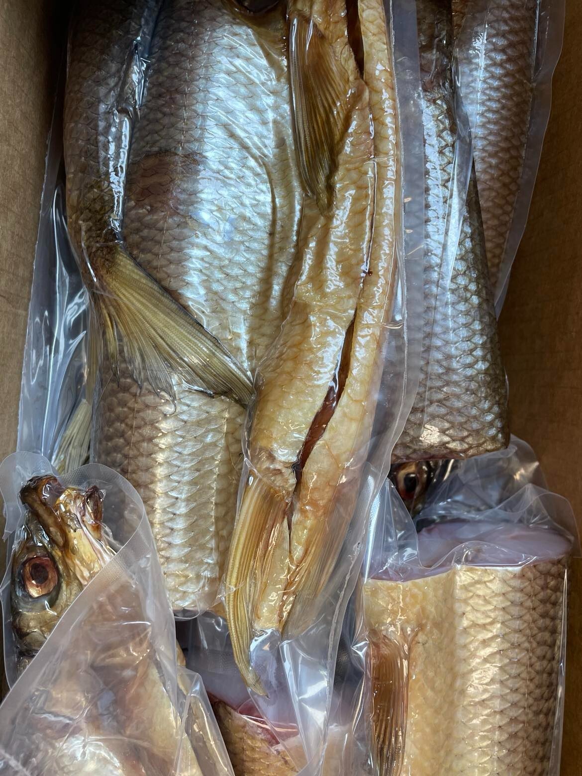 COLD Smoked Jumbo Whitefish ‘Ribetz’ Express Hand Roughly 3.30lb $60 !US SELLER!