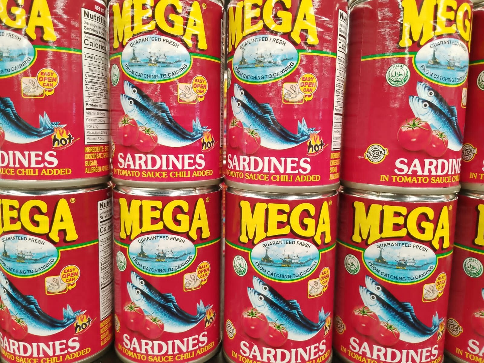 Sardines in can HALAL Hot in tomato souse chili added Fresh 155gr (5.5 oz)