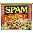 Hot and Spicy Protein 12 oz Aluminum Can