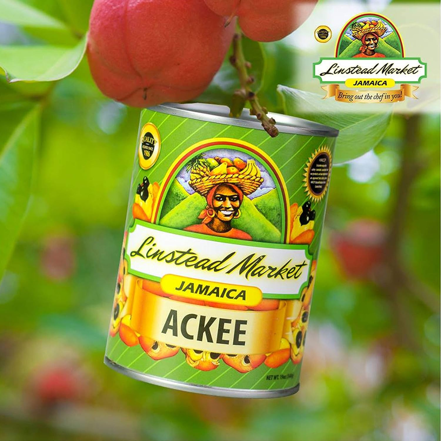Linstead Market Ackee Fruit 1.18 Pound Jamaica’s National Dish Exotic Delicacy