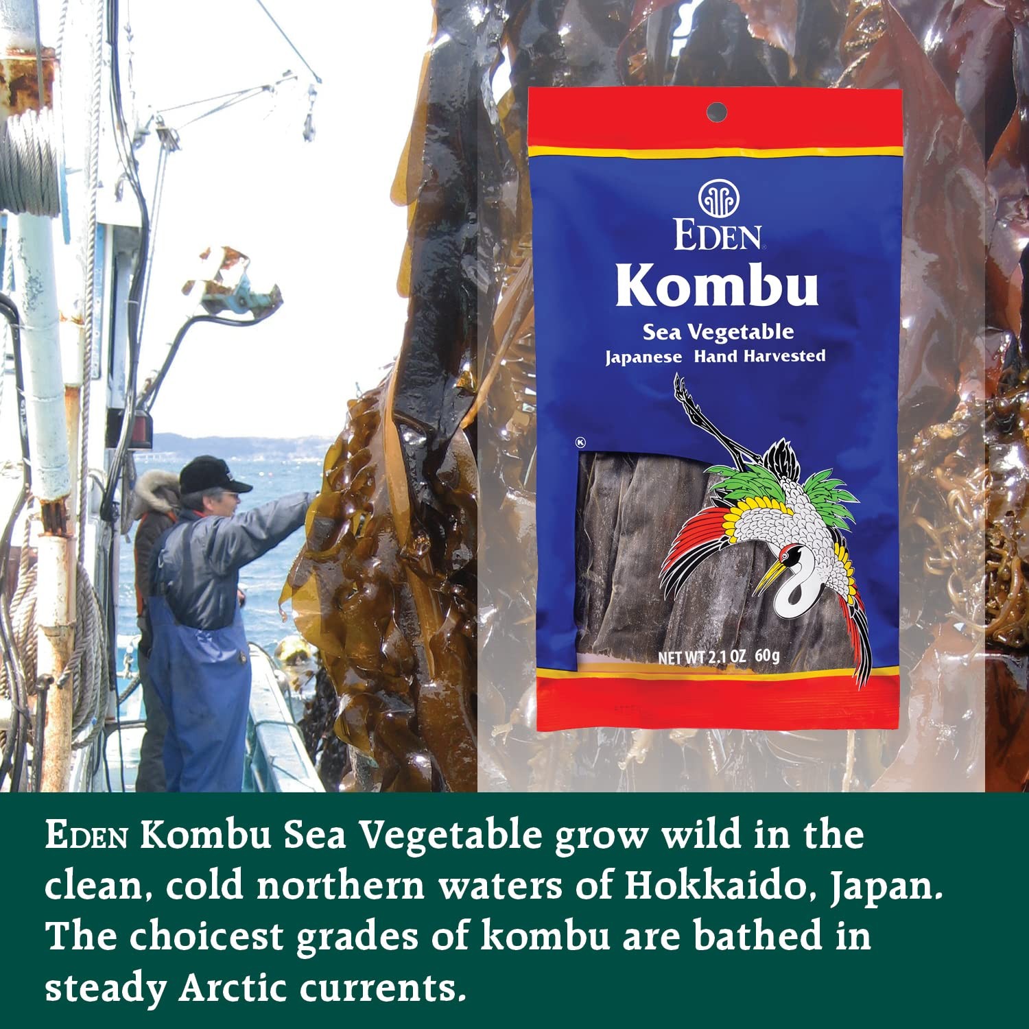 Eden Foods Kombu, Sea Vegetable, Wild Hand Harvested, 2.1 Ounce