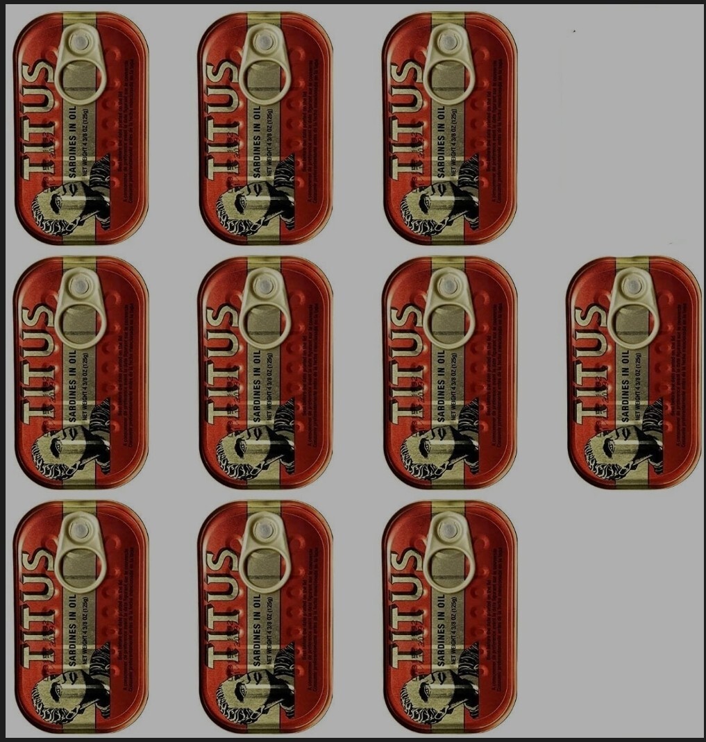  Titus Sardines in SOY BEAN Oil, 125g, Pack of 50